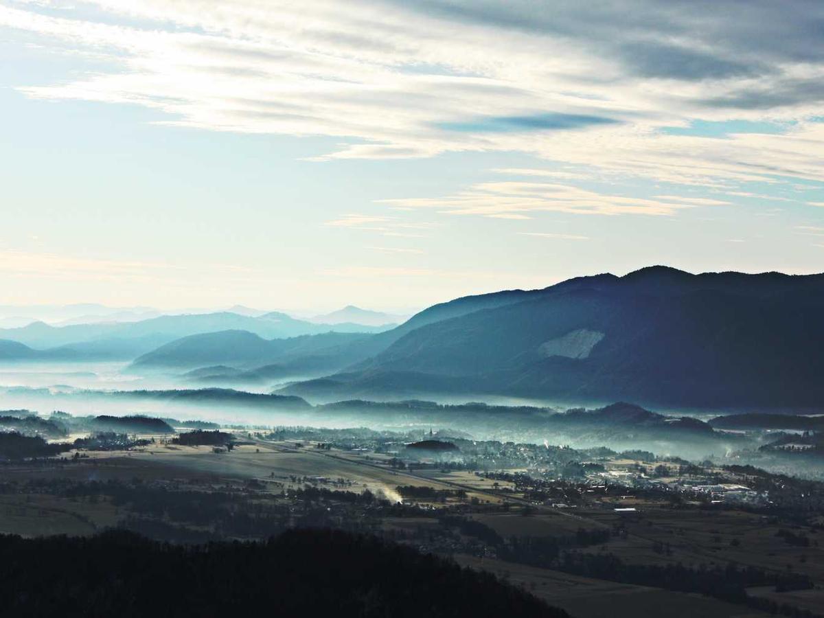 Elegant Garden Wedding